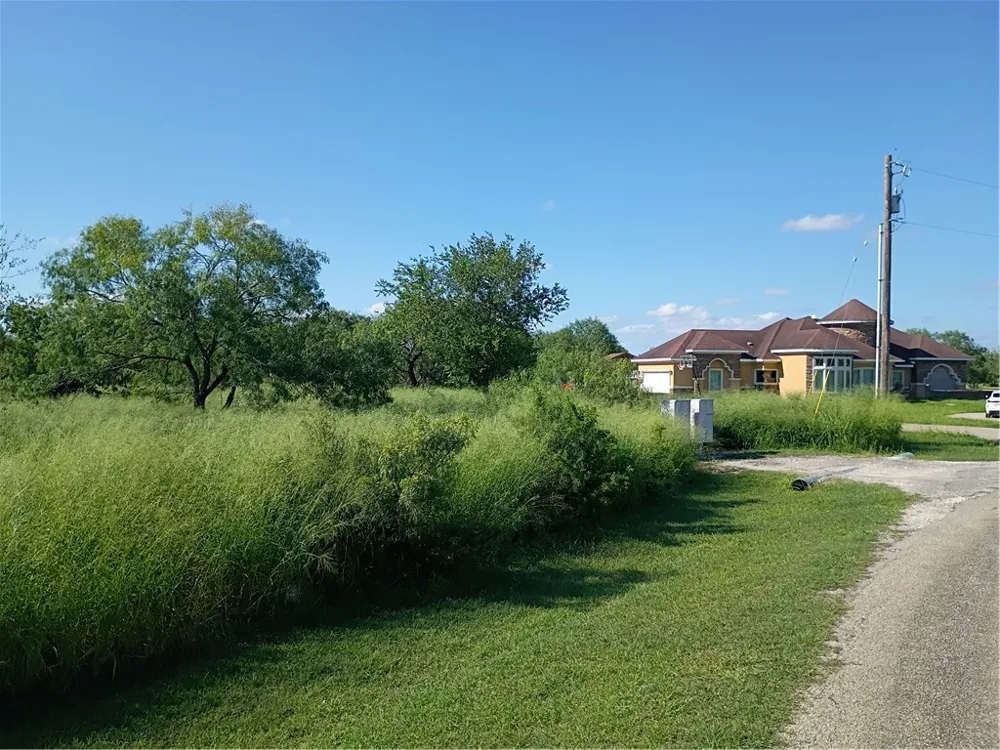 356 Deer Meadows Drive Alice, TX 78332