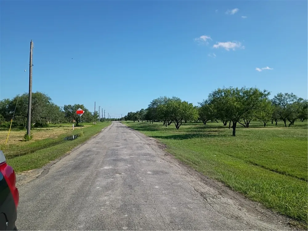 356 Deer Meadows Drive Alice, TX 78332