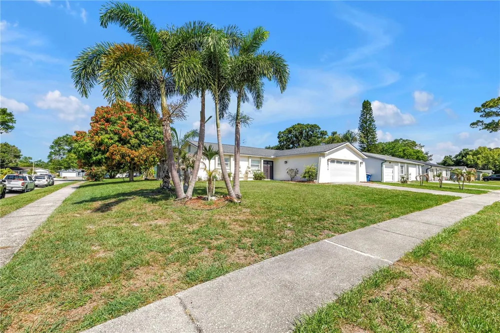 3216 PINE HAVEN DRIVE Clearwater, FL 33761