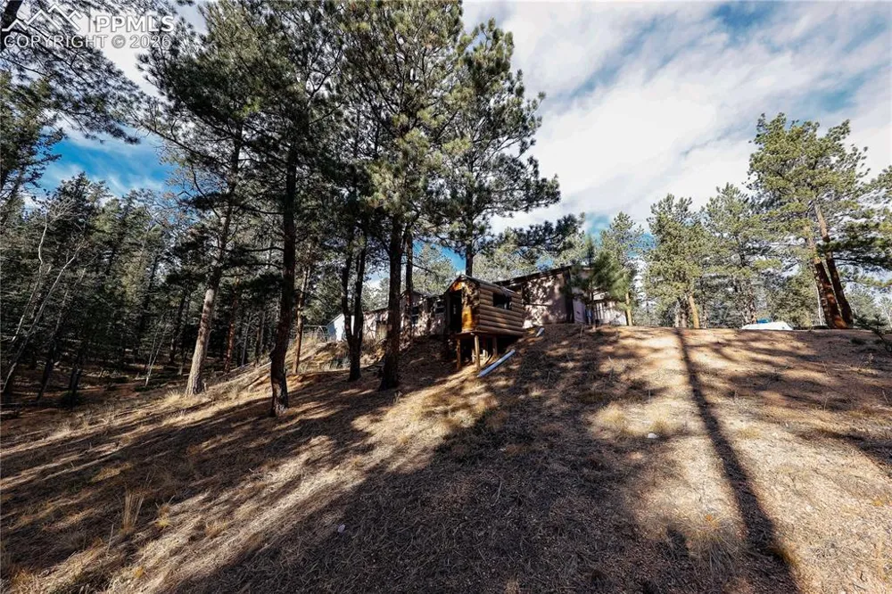 1641 Kiowa Road Florissant, CO 80816