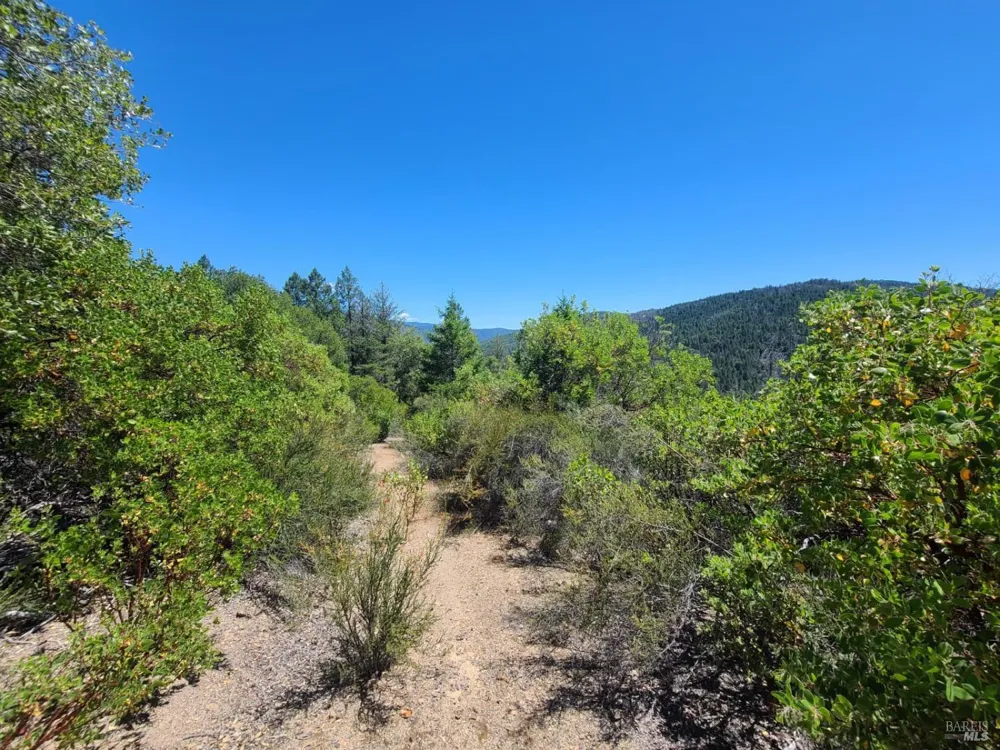 0 Pigeon Ridge Road Covelo, CA 95428