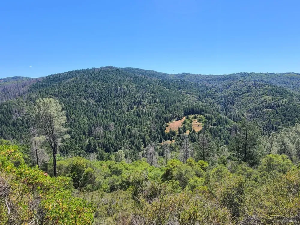0 Pigeon Ridge Road Covelo, CA 95428