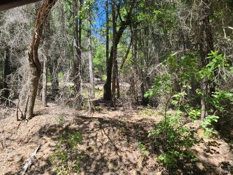 0 Pigeon Ridge Road