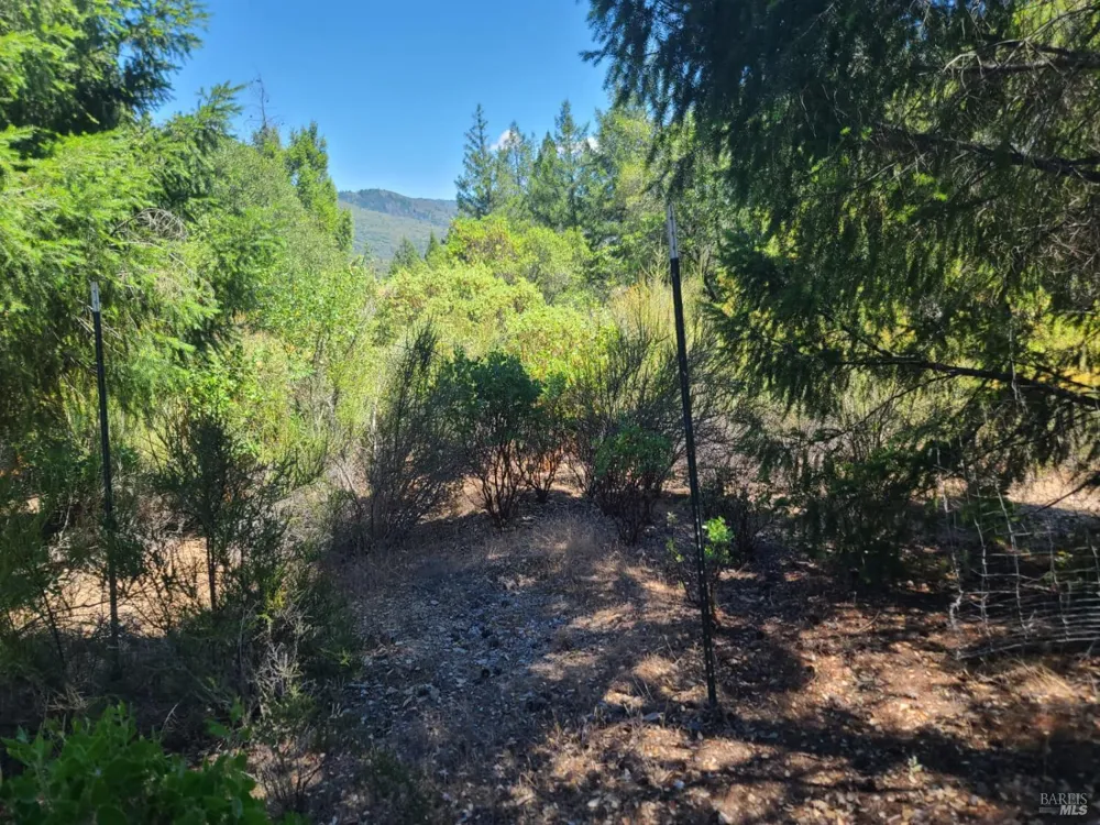 0 Pigeon Ridge Road Covelo, CA 95428
