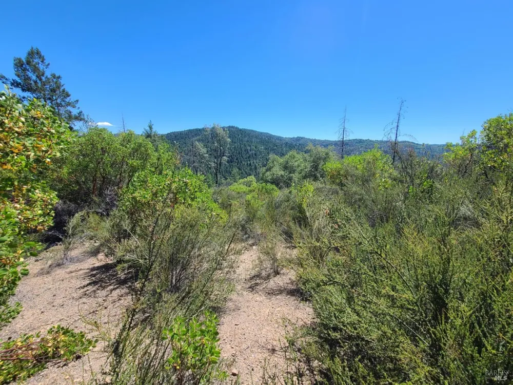 0 Pigeon Ridge Road Covelo, CA 95428