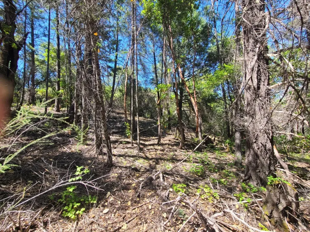 0 Pigeon Ridge Road Covelo, CA 95428
