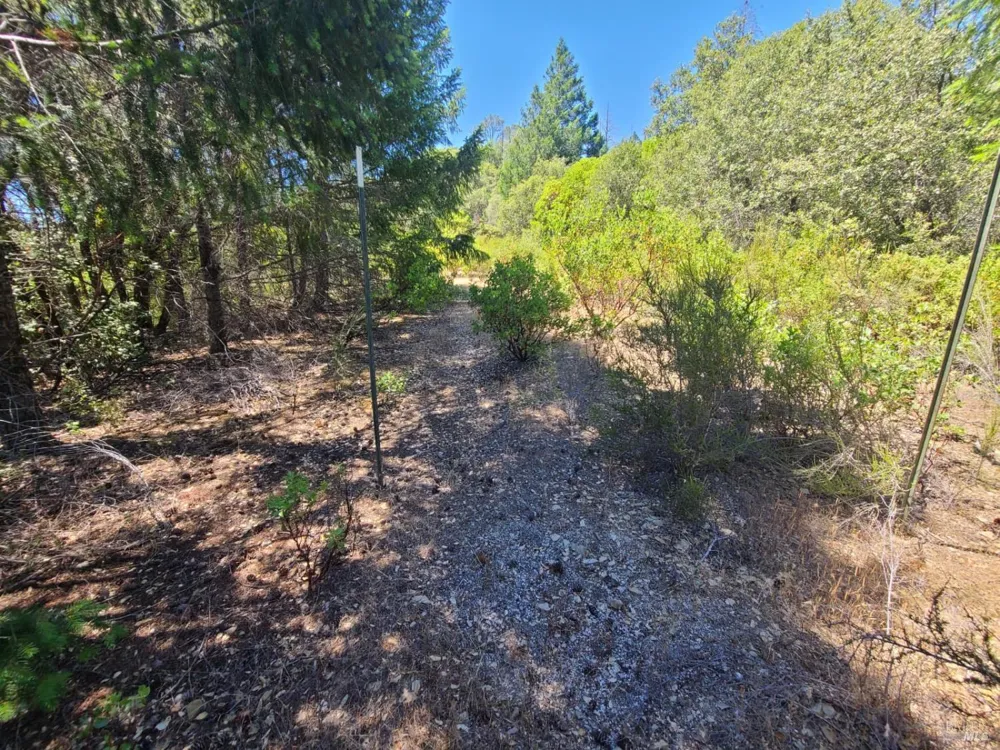 0 Pigeon Ridge Road Covelo, CA 95428