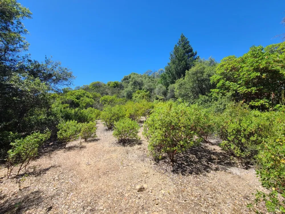 0 Pigeon Ridge Road Covelo, CA 95428