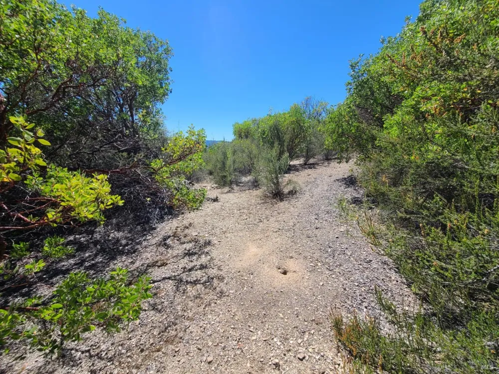 0 Pigeon Ridge Road Covelo, CA 95428