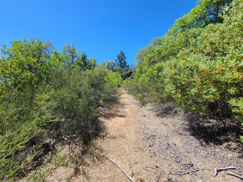 0 Pigeon Ridge Road Covelo, CA 95428