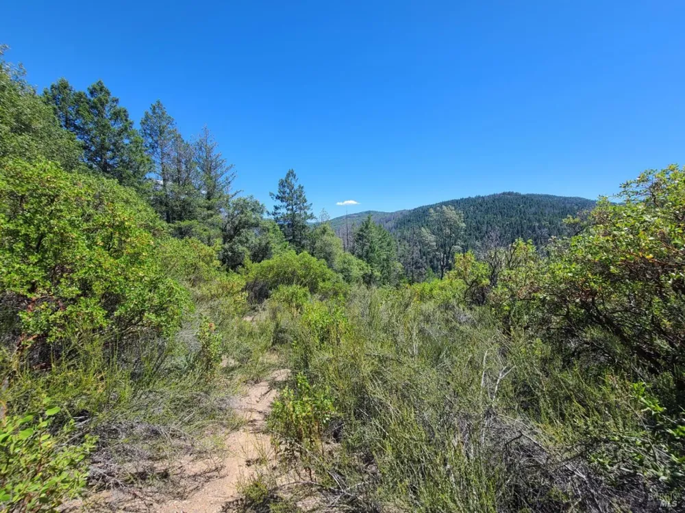 0 Pigeon Ridge Road Covelo, CA 95428