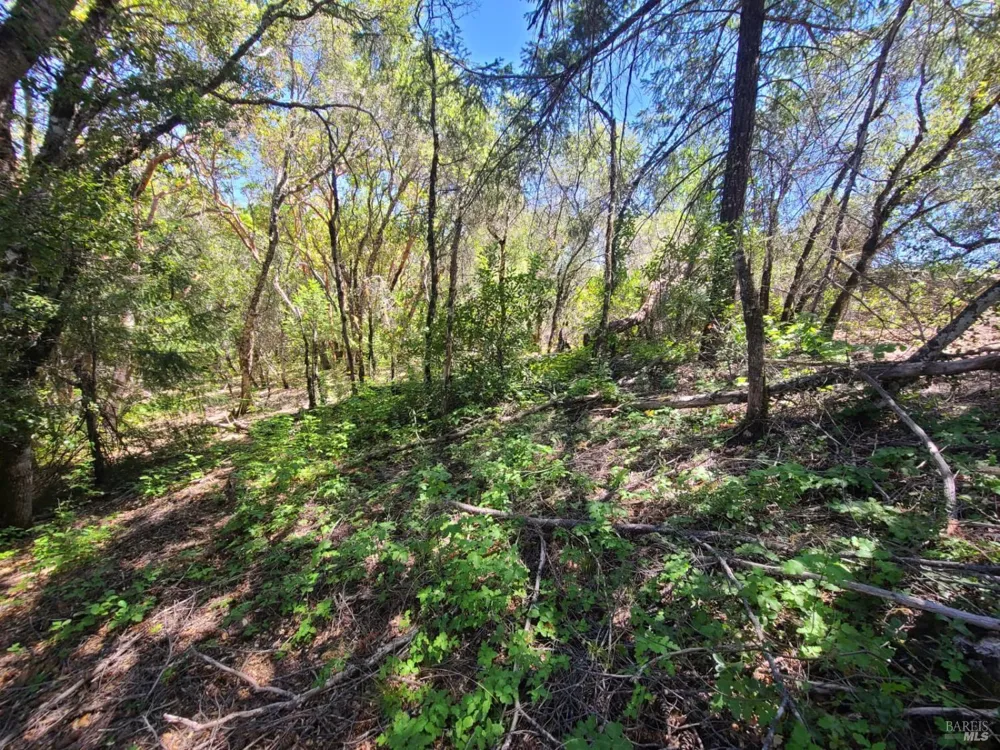 0 Pigeon Ridge Road Covelo, CA 95428