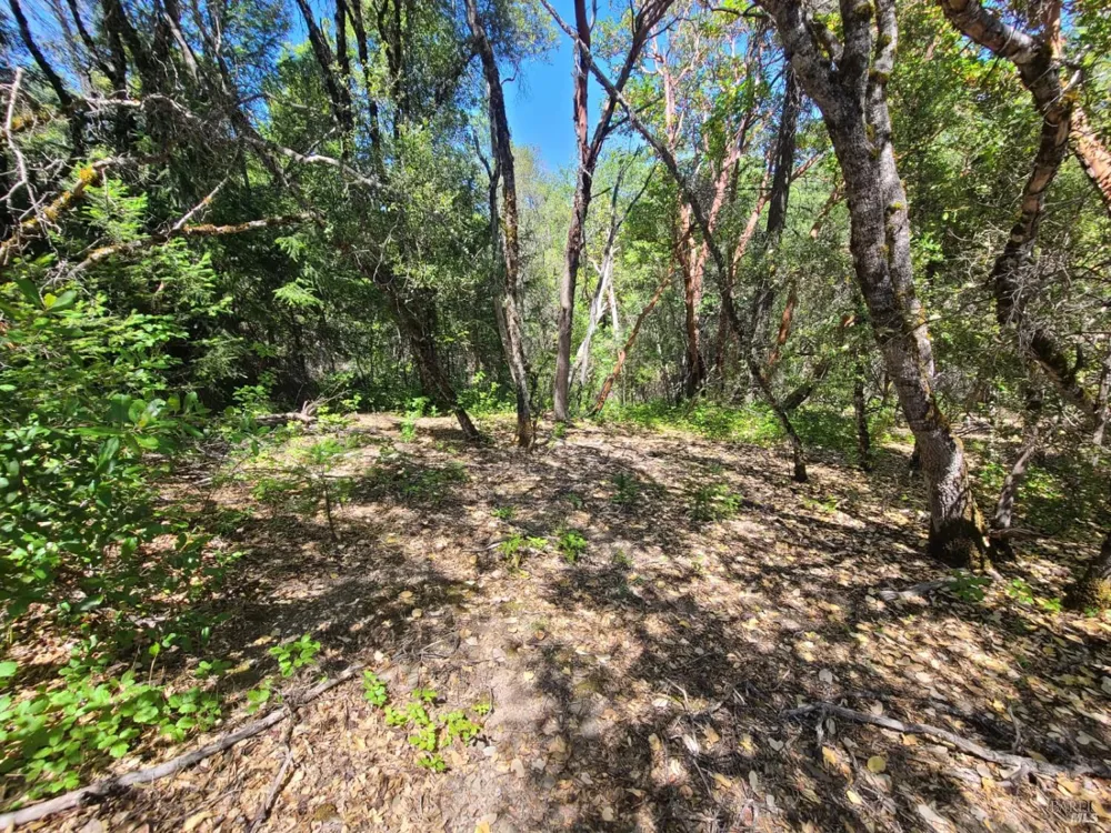 0 Pigeon Ridge Road Covelo, CA 95428