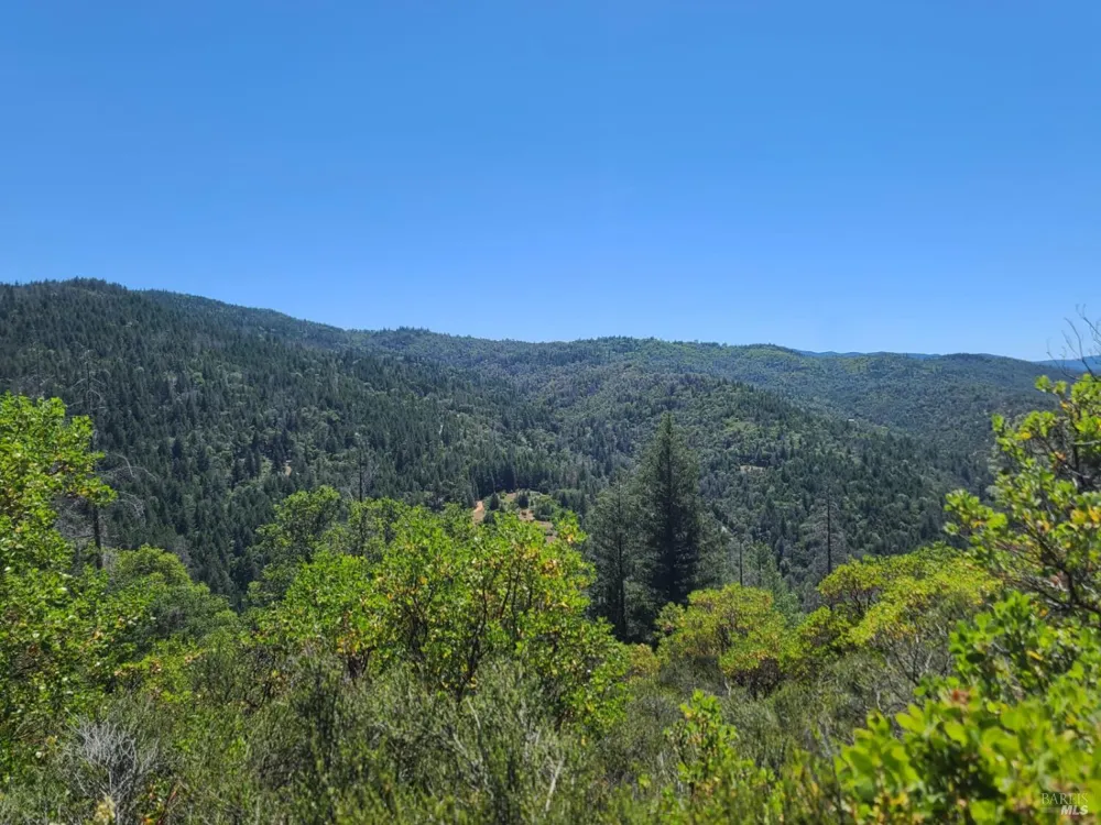 0 Pigeon Ridge Road Covelo, CA 95428