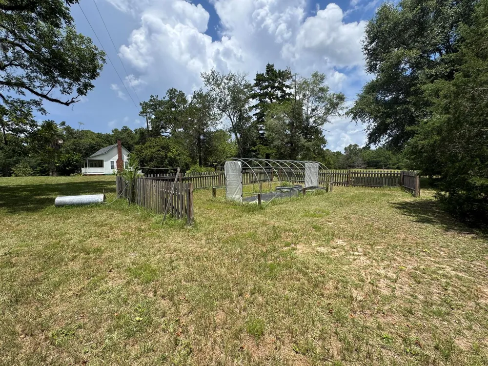 1900 Olive Lane 
