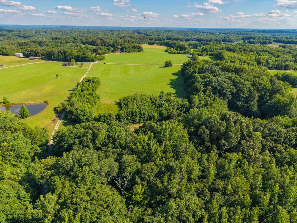 3 Poplar Ridge Rd Chapmansboro, TN 37035