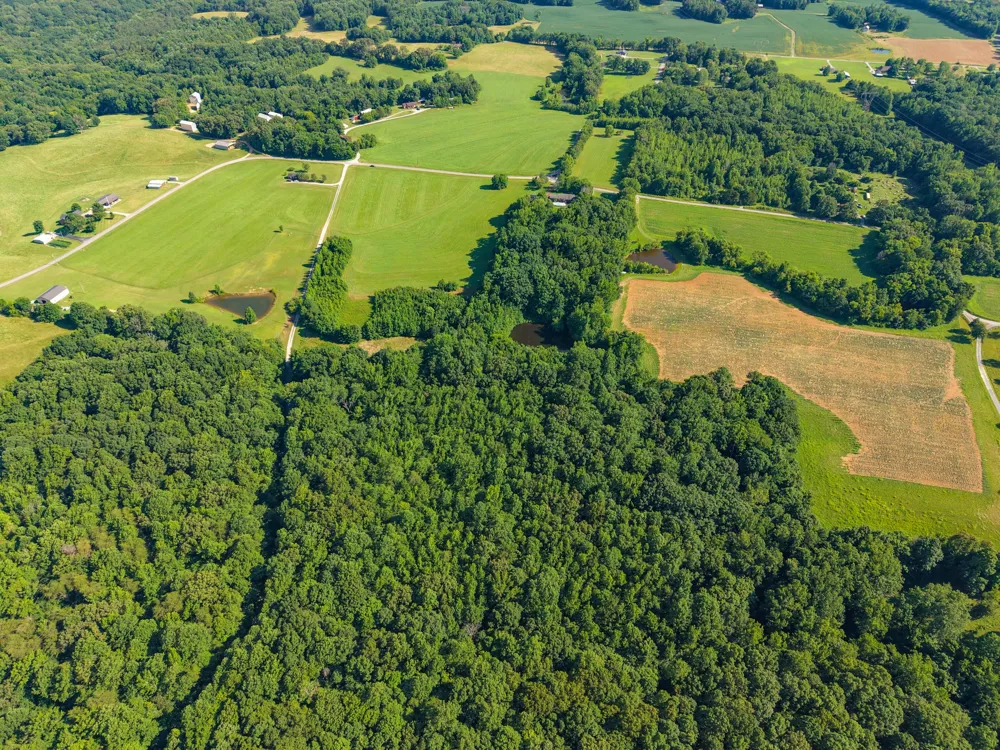 3 Poplar Ridge Rd Chapmansboro, TN 37035