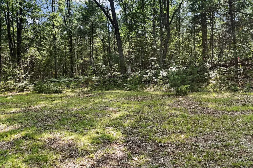 2 M-66 SE Garfield Township, MI 49633