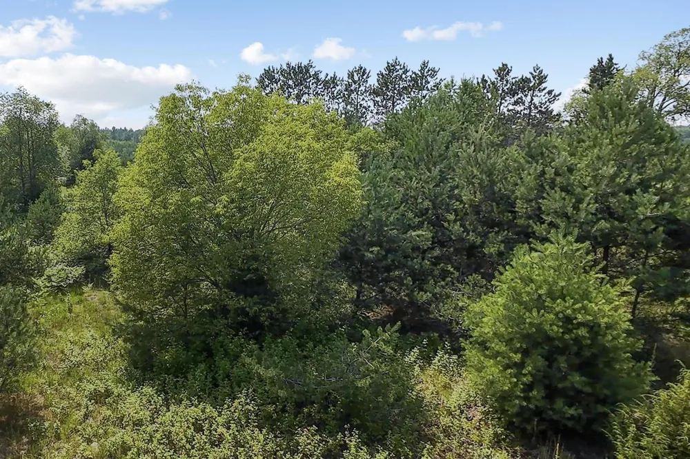 2 M-66 SE Garfield Township, MI 49633