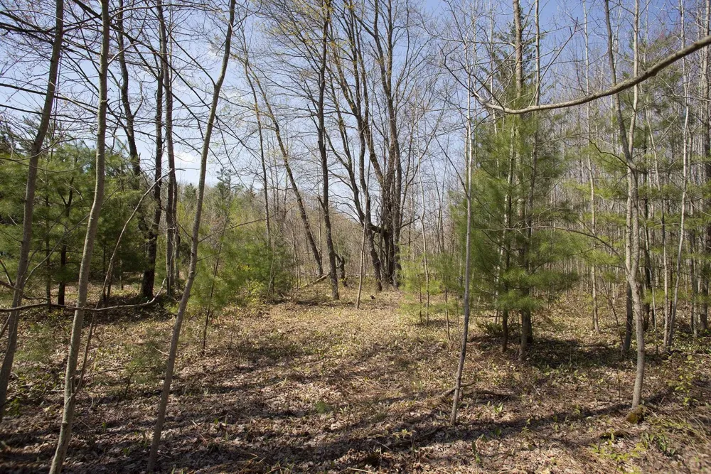 2 M-66 SE Garfield Township, MI 49633