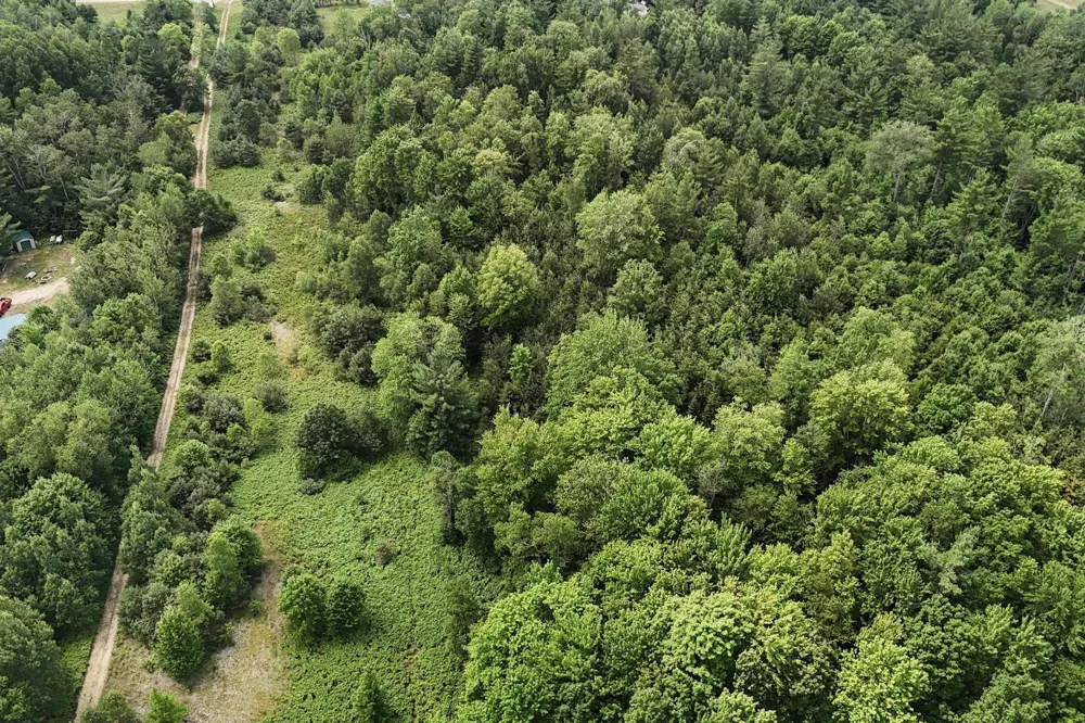2 M-66 SE Garfield Township, MI 49633