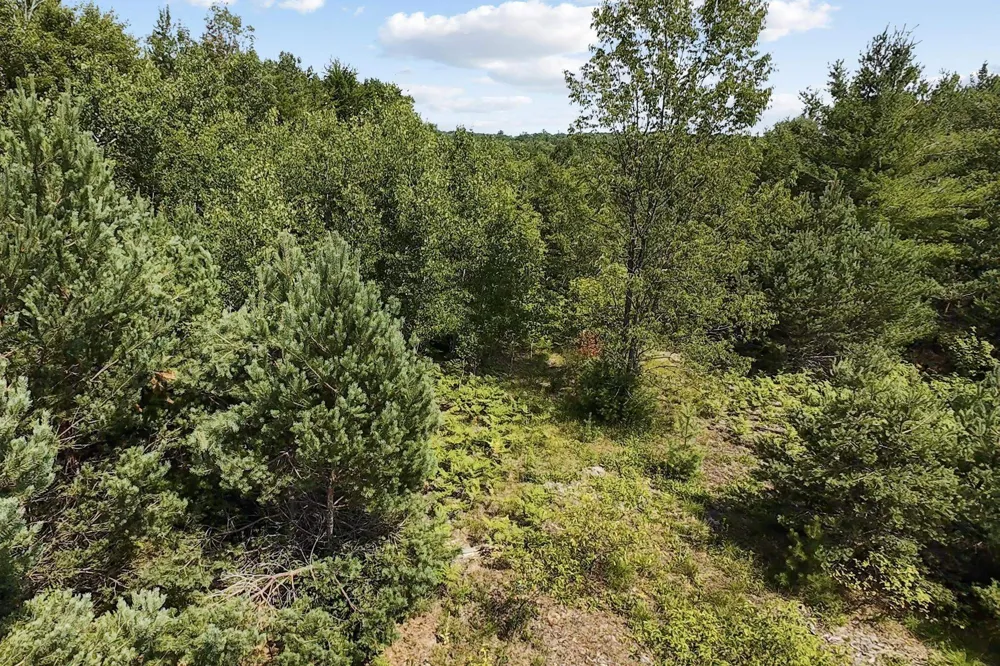 2 M-66 SE Garfield Township, MI 49633