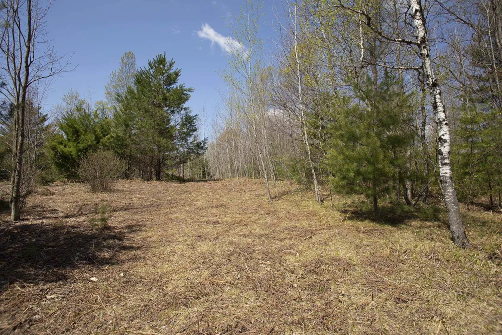 2 M-66 SE Garfield Township, MI 49633