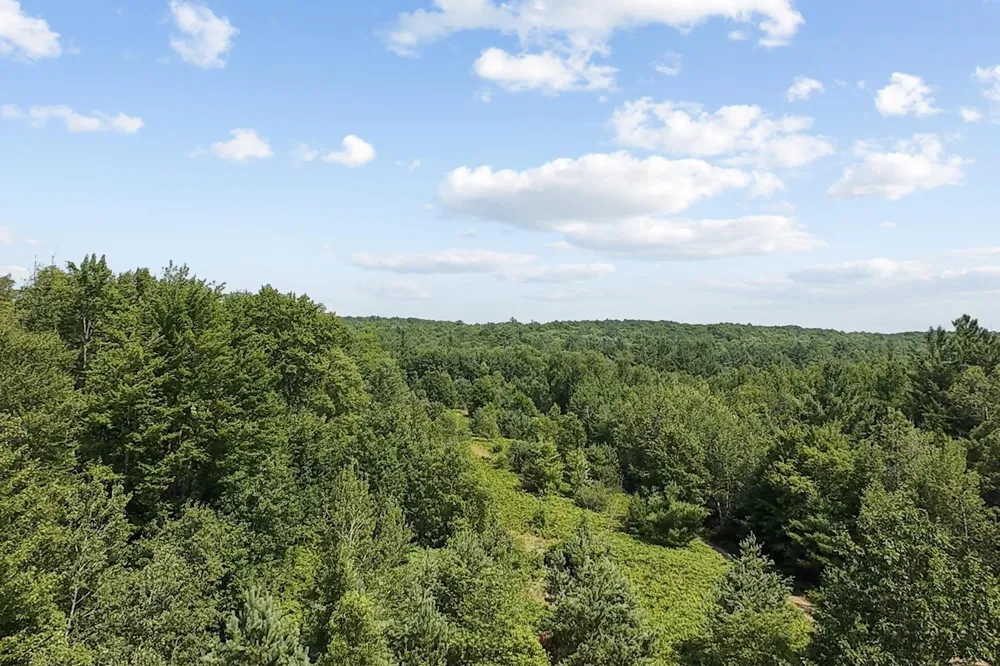 2 M-66 SE Garfield Township, MI 49633