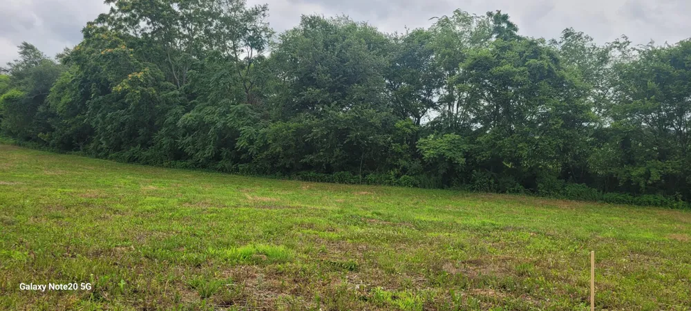 2917 Old McMinnville Hwy Woodbury, TN 37190