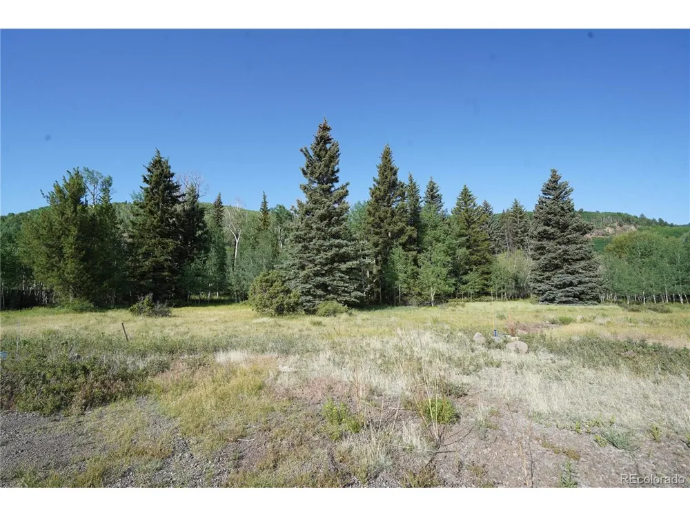 42 W Peregrine Antonito, CO 81120