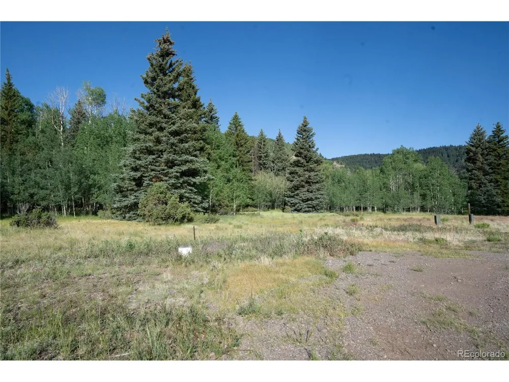 42 W Peregrine Antonito, CO 81120