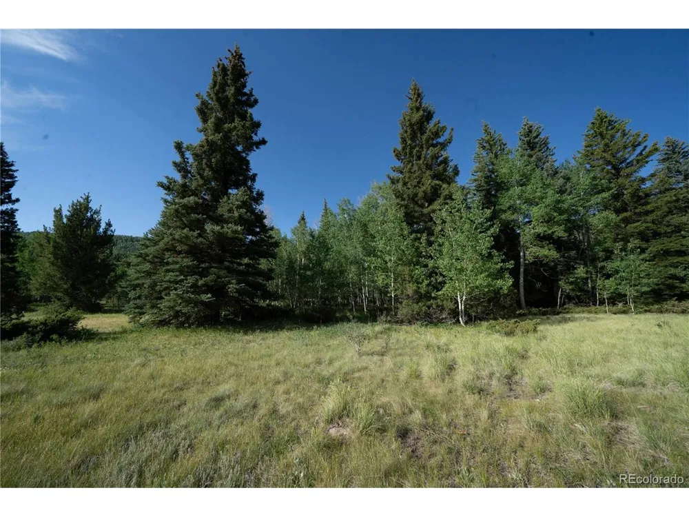 42 W Peregrine Antonito, CO 81120