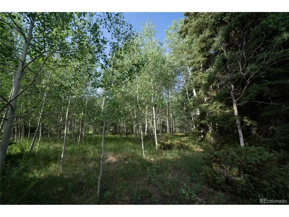 42 W Peregrine Antonito, CO 81120