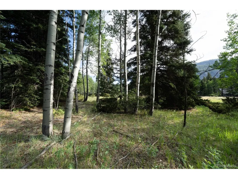 42 W Peregrine Antonito, CO 81120