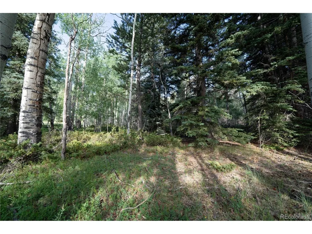 42 W Peregrine Antonito, CO 81120