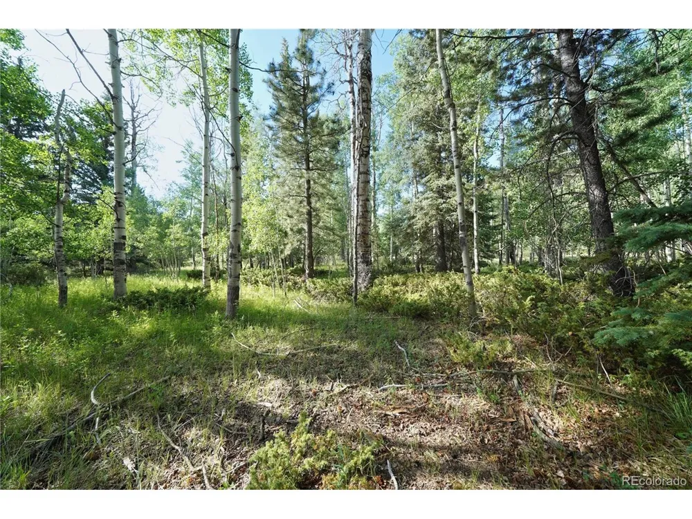 42 W Peregrine Antonito, CO 81120