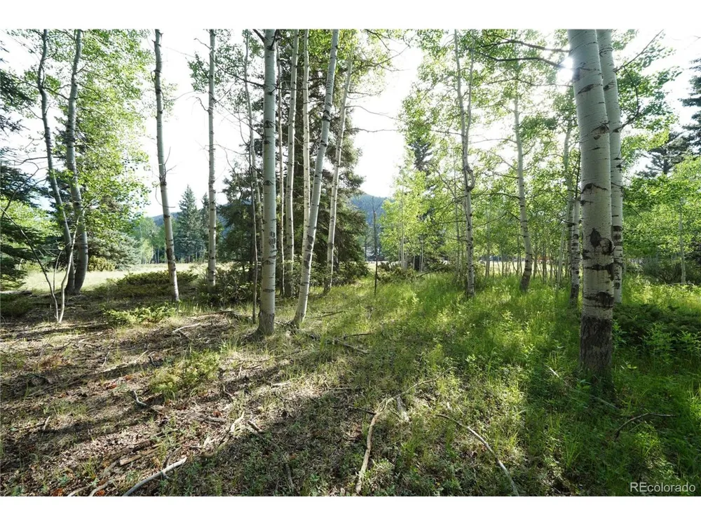 42 W Peregrine Antonito, CO 81120