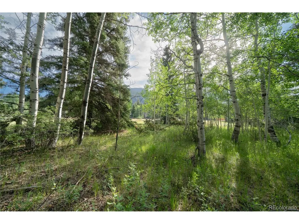 42 W Peregrine Antonito, CO 81120