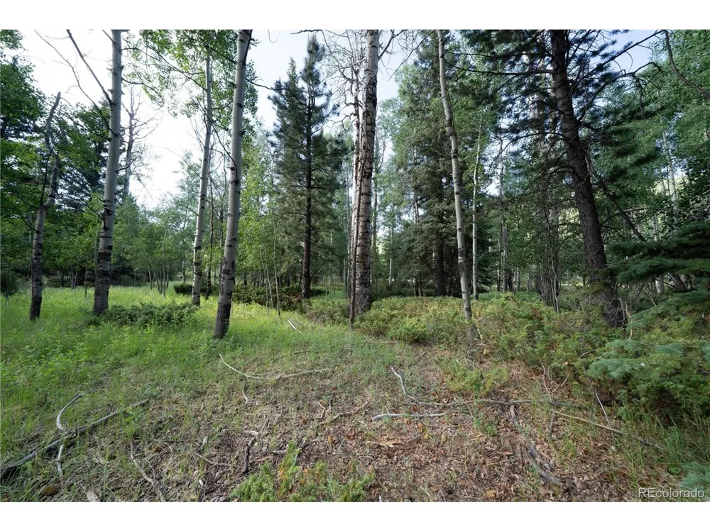 42 W Peregrine Antonito, CO 81120
