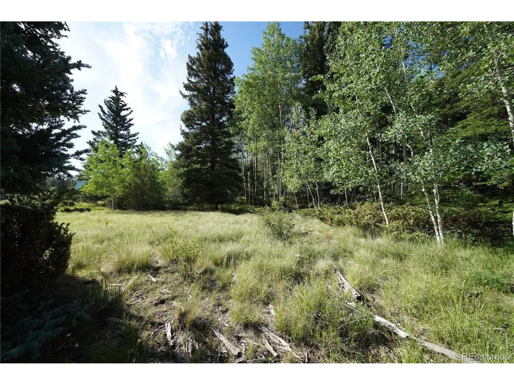 42 W Peregrine Antonito, CO 81120