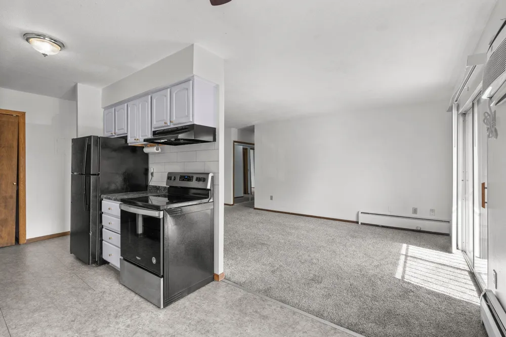 920 6th Street S #5 Hopkins, MN 55343