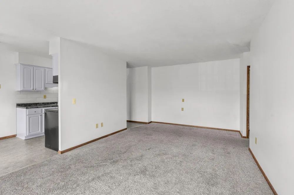 920 6th Street S #5 Hopkins, MN 55343