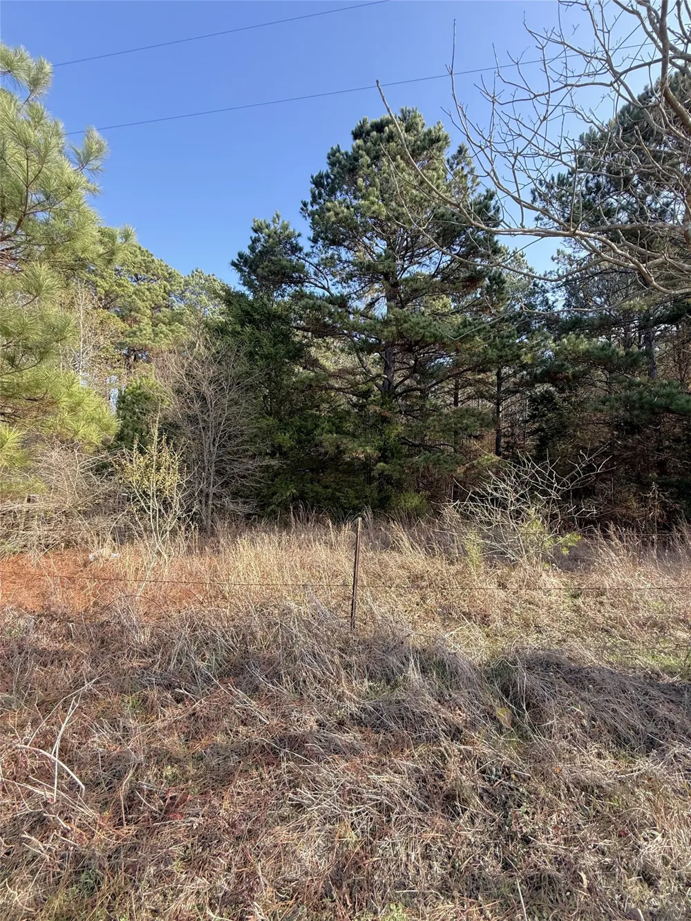 FM 2888 Marietta, TX 75566