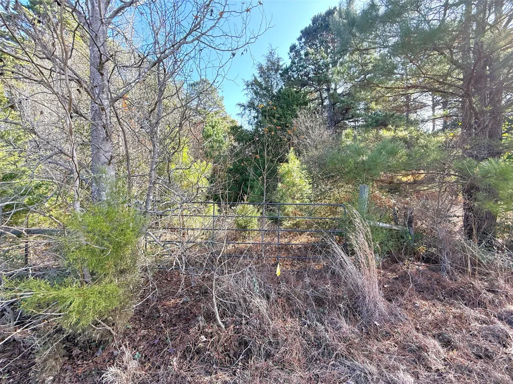 FM 2888 Marietta, TX 75566