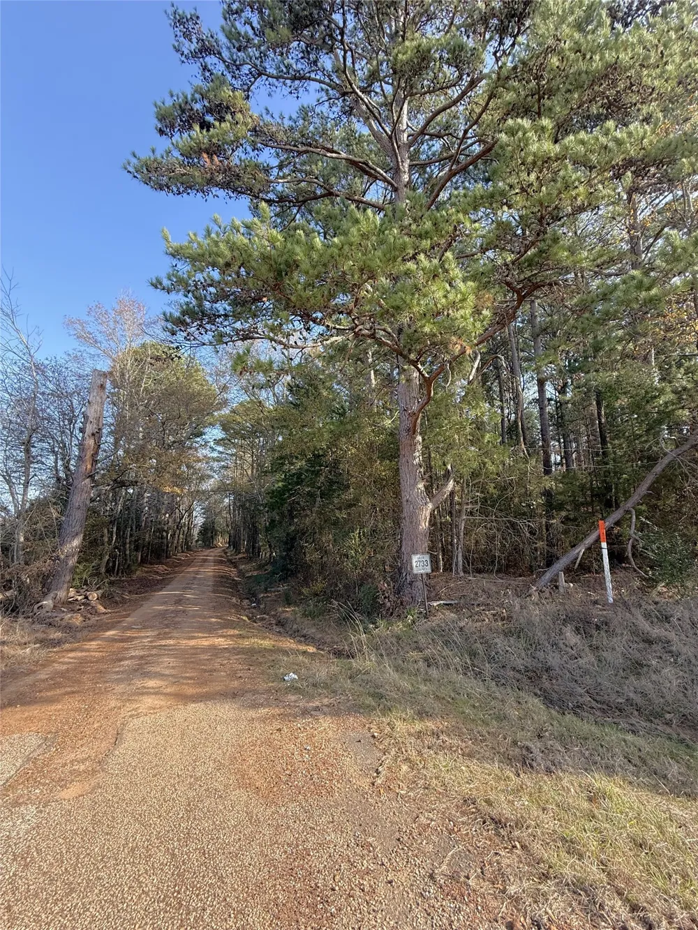 FM 2888 Marietta, TX 75566