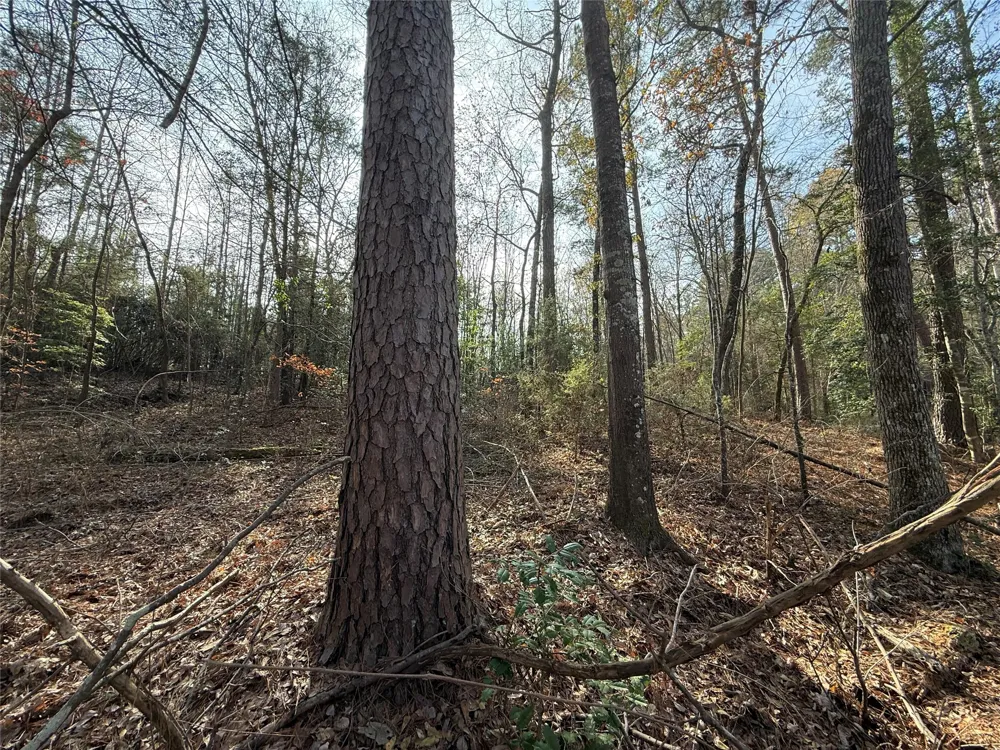 FM 2888 Marietta, TX 75566