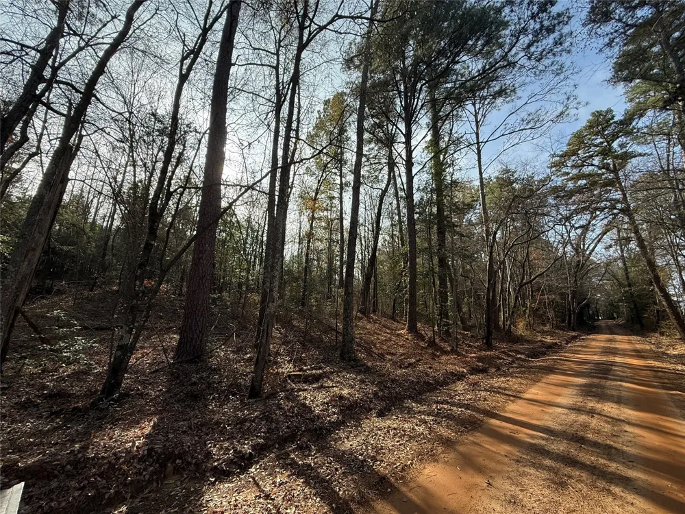 FM 2888 Marietta, TX 75566