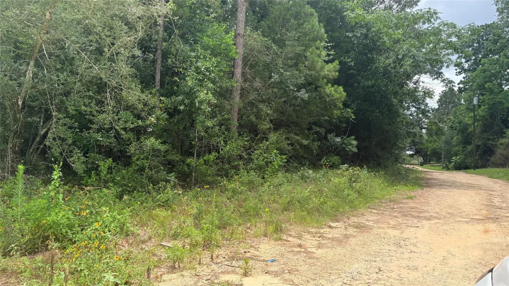 1 Millcreek Drive Ivanhoe, TX 75979