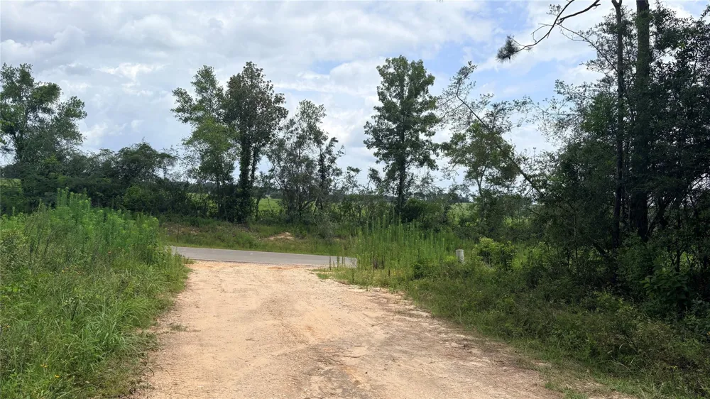 1 Millcreek Drive Ivanhoe, TX 75979