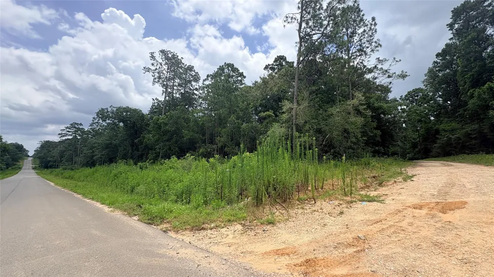 1 Millcreek Drive Ivanhoe, TX 75979